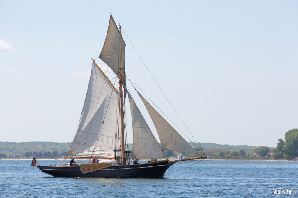 Romregatta-deltagere. Bachs FOTO