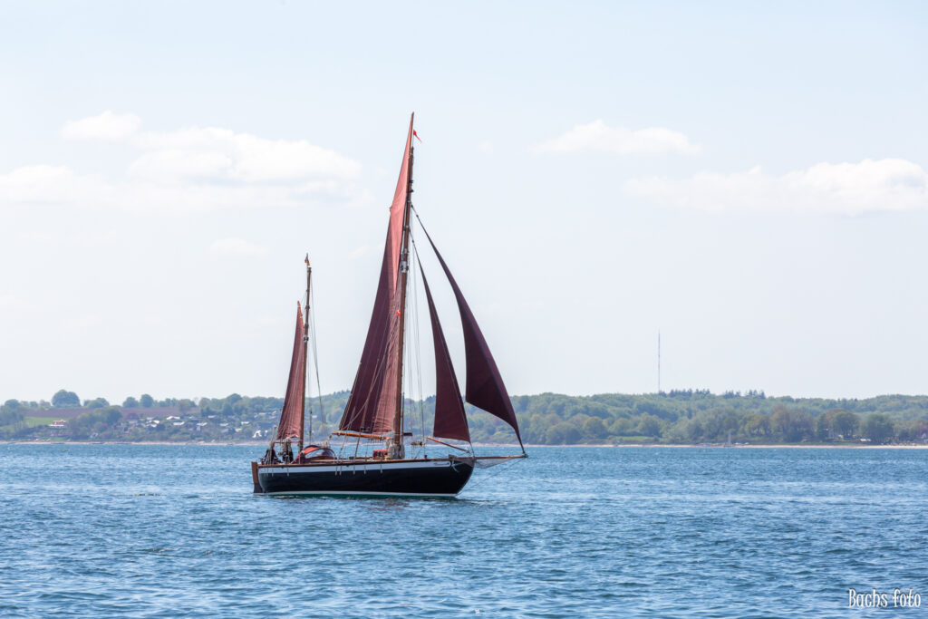 Romregatta-deltagere. Bachs FOTO