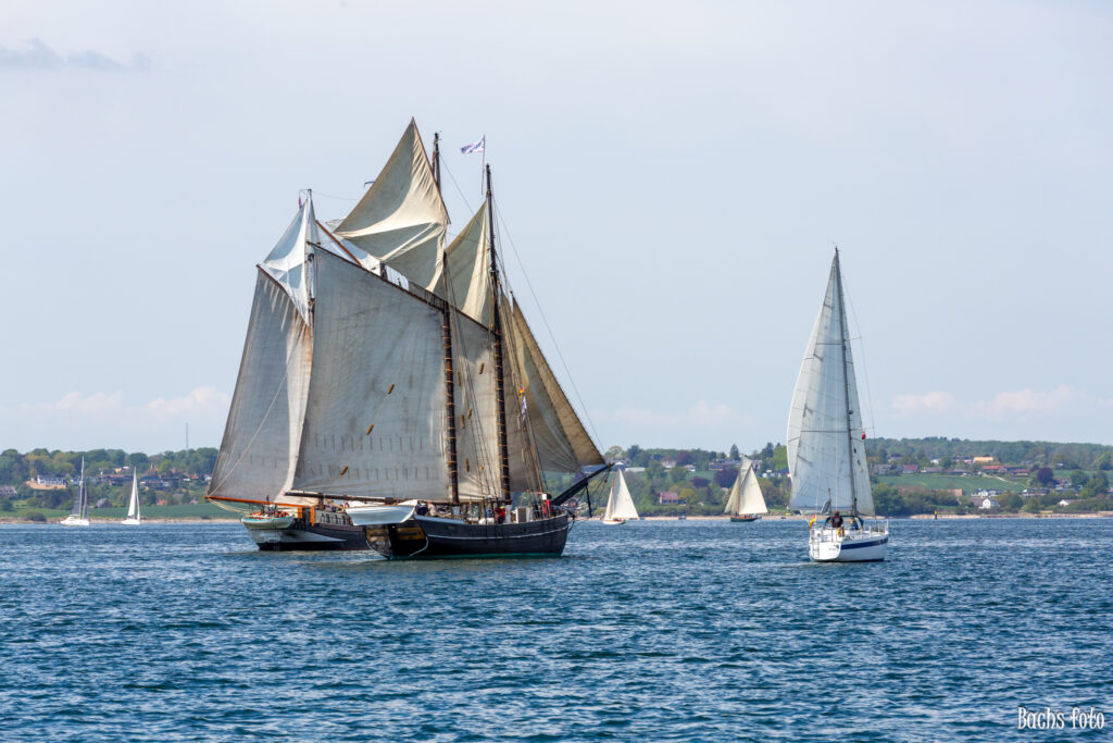 Romregatta-deltagere. Bachs FOTO