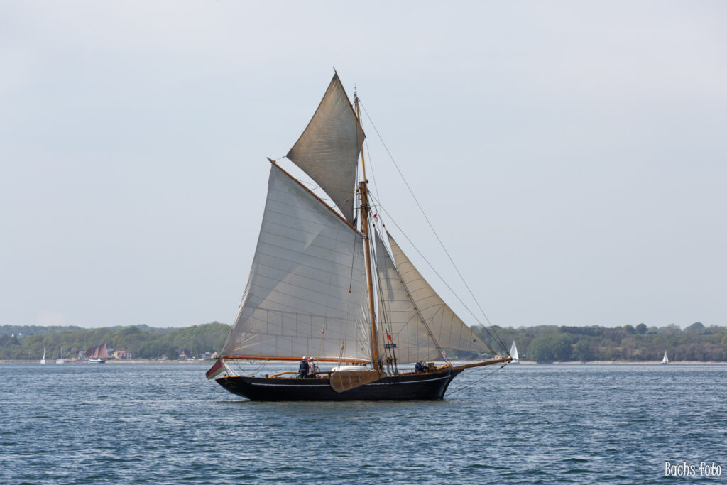 Romregatta-deltagere. Bachs FOTO