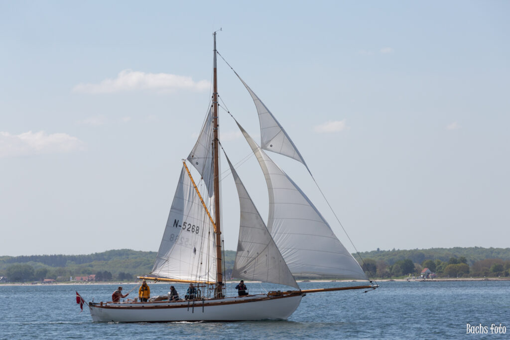 Romregatta-deltagere. Bachs FOTO