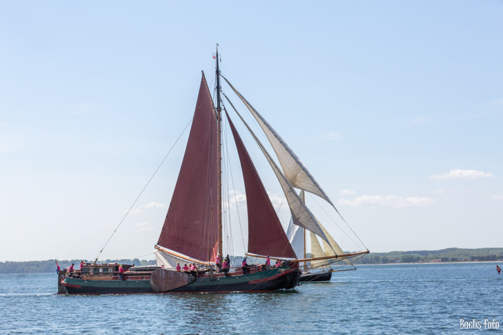 Romregatta-deltagere. Bachs FOTO
