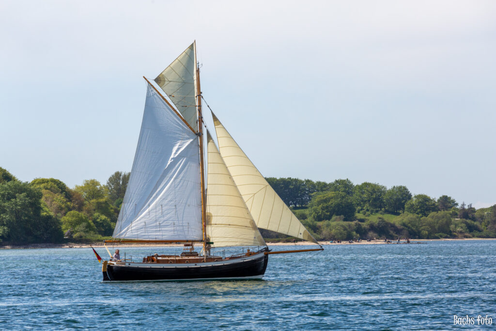 Romregatta-deltagere. Bachs FOTO