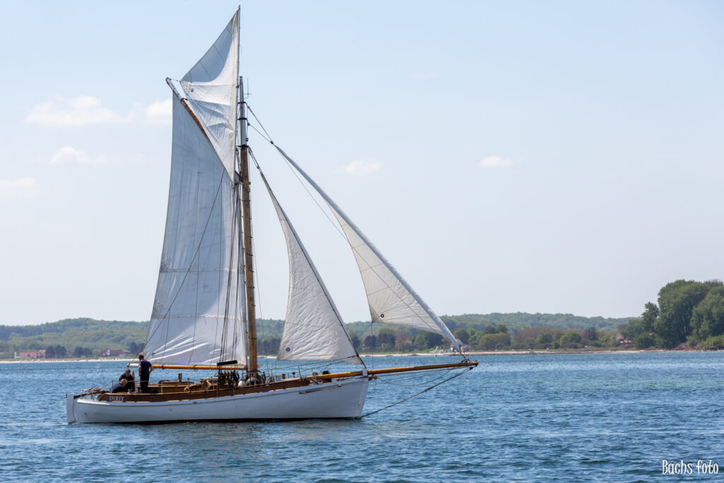Romregatta-deltagere. Bachs FOTO