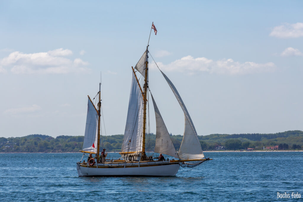 Romregatta-deltagere. Bachs FOTO