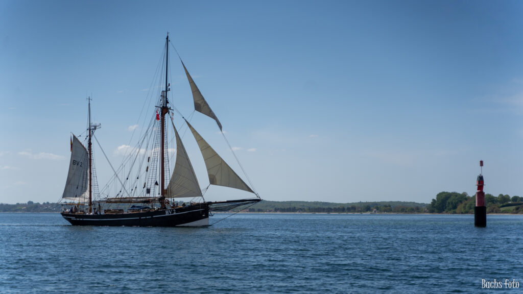 Romregatta-deltagere. Bachs FOTO