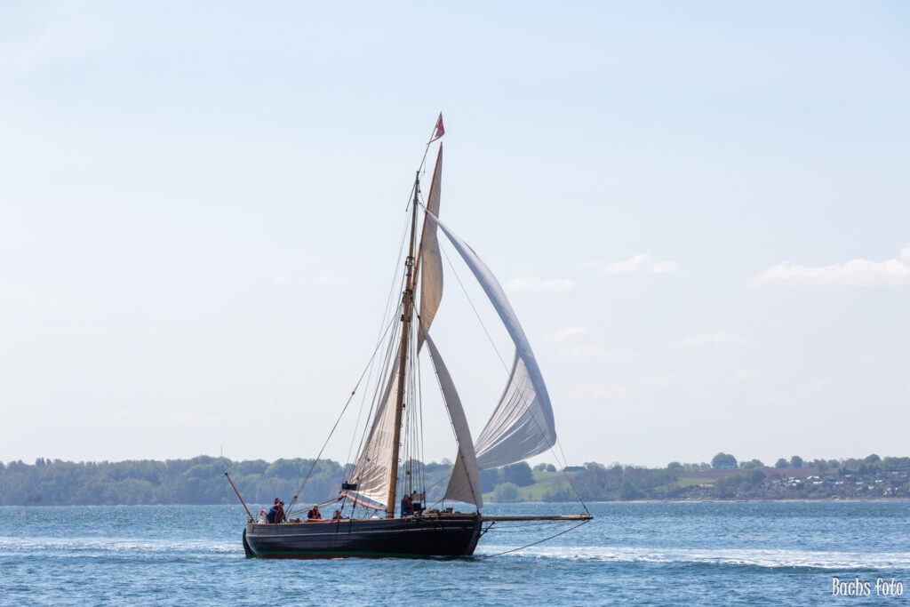 Romregatta-deltagere. Bachs FOTO