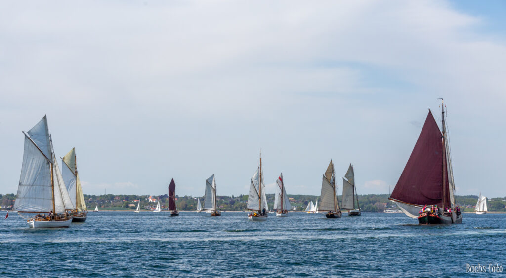 Romregatta-deltagere. Bachs FOTO