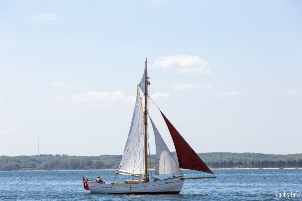 Romregatta-deltagere. Bachs FOTO