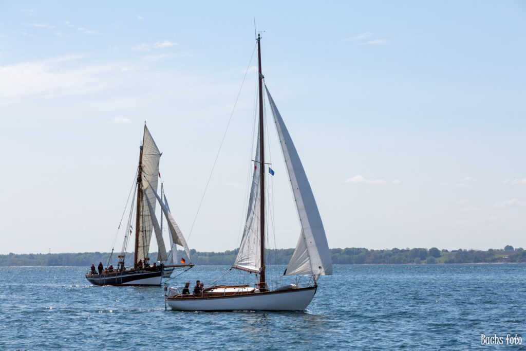 Romregatta-deltagere. Bachs FOTO