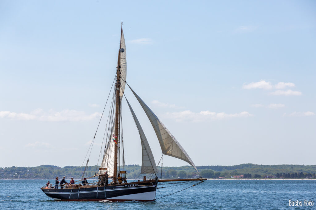 Romregatta-deltagere. Bachs FOTO