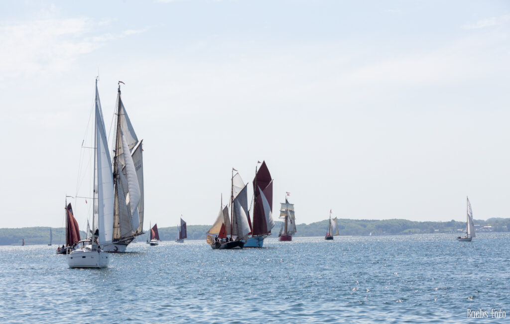 Romregatta-deltagere. Bachs FOTO