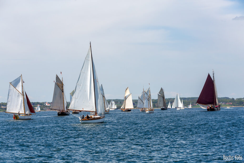 Romregatta-deltagere. Bachs FOTO