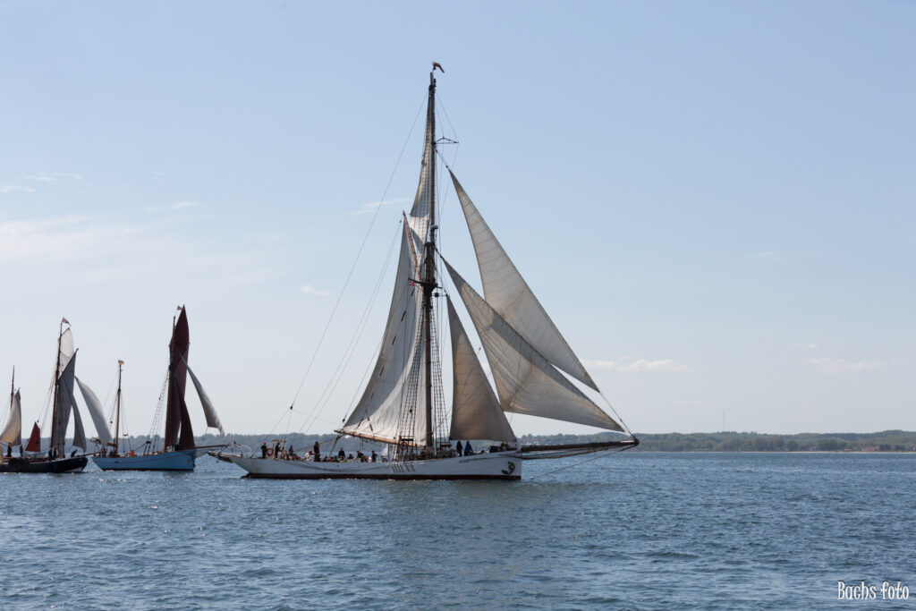 Romregatta-deltagere. Bachs FOTO