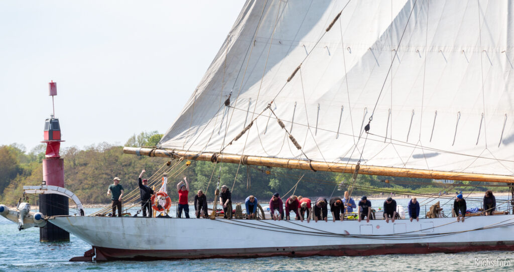 Romregatta-deltagere. Bachs FOTO