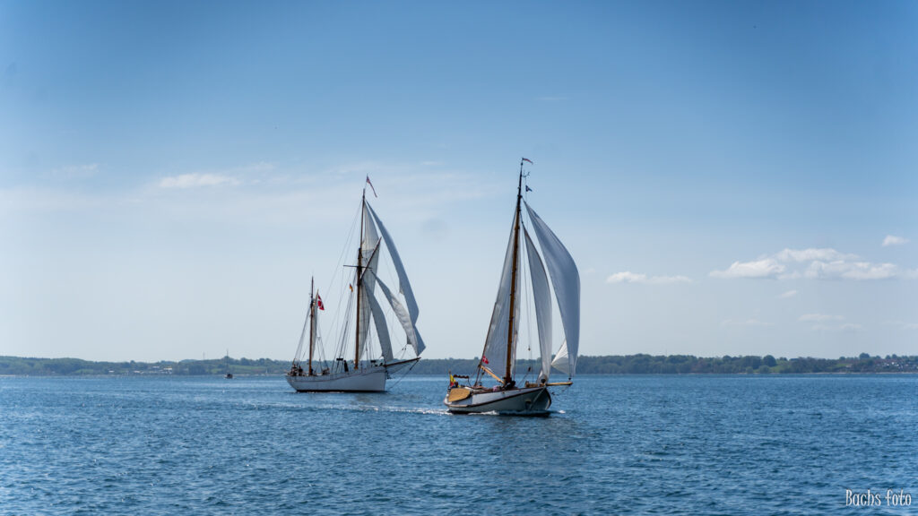Romregatta-deltagere. Bachs FOTO