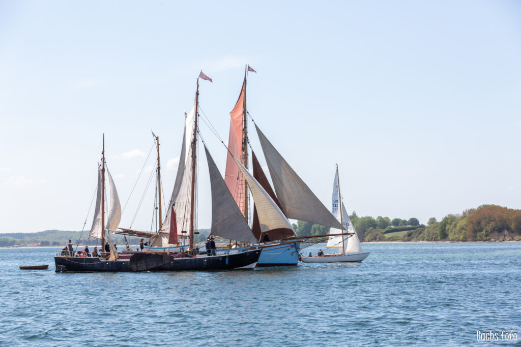 Romregatta-deltagere. Bachs FOTO