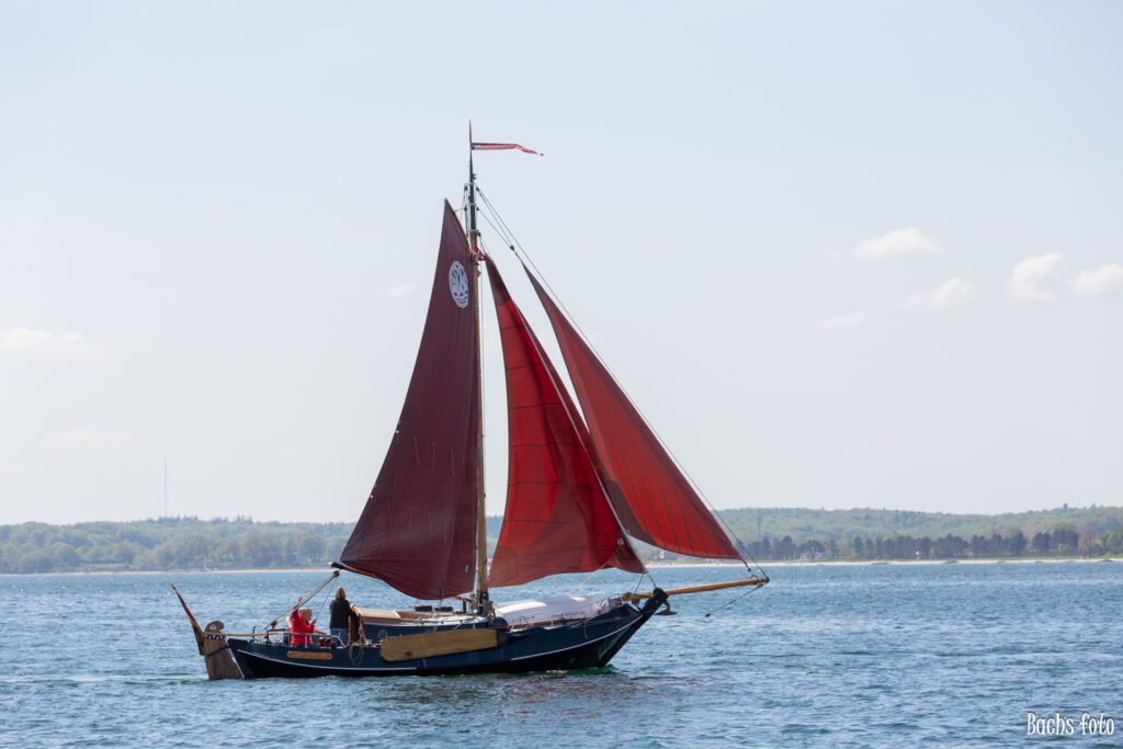 Romregatta-deltagere. Bachs FOTO