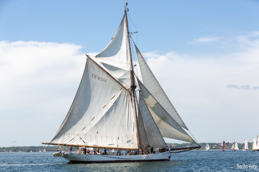 Romregatta-deltagere. Bachs FOTO