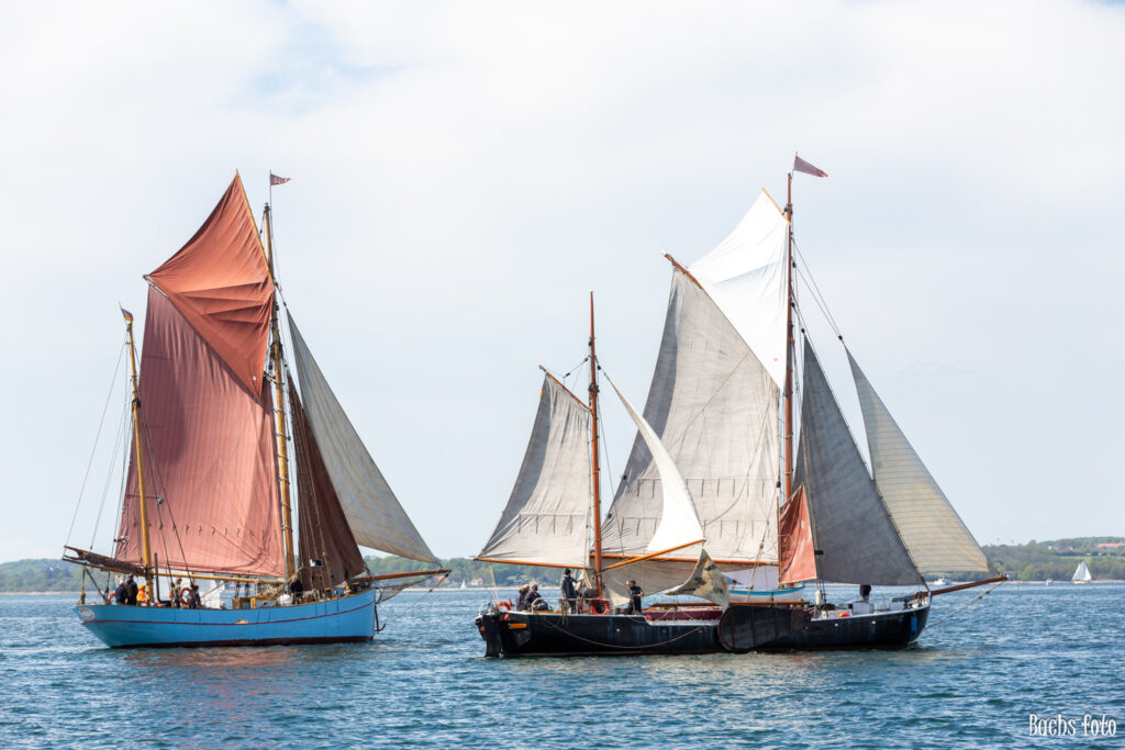 Romregatta-deltagere. Bachs FOTO