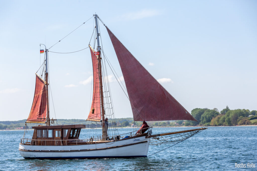 Romregatta-deltagere. Bachs FOTO