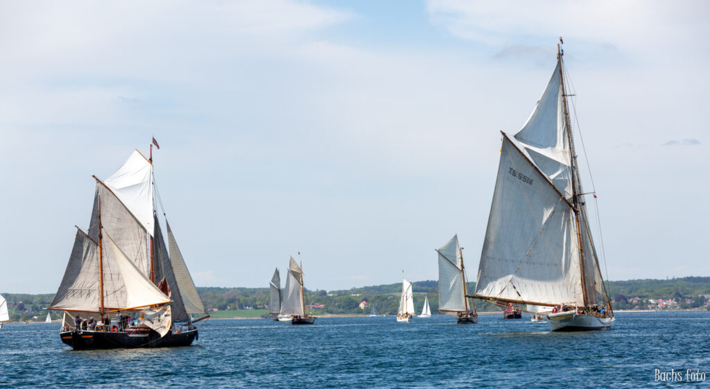 Romregatta-deltagere. Bachs FOTO
