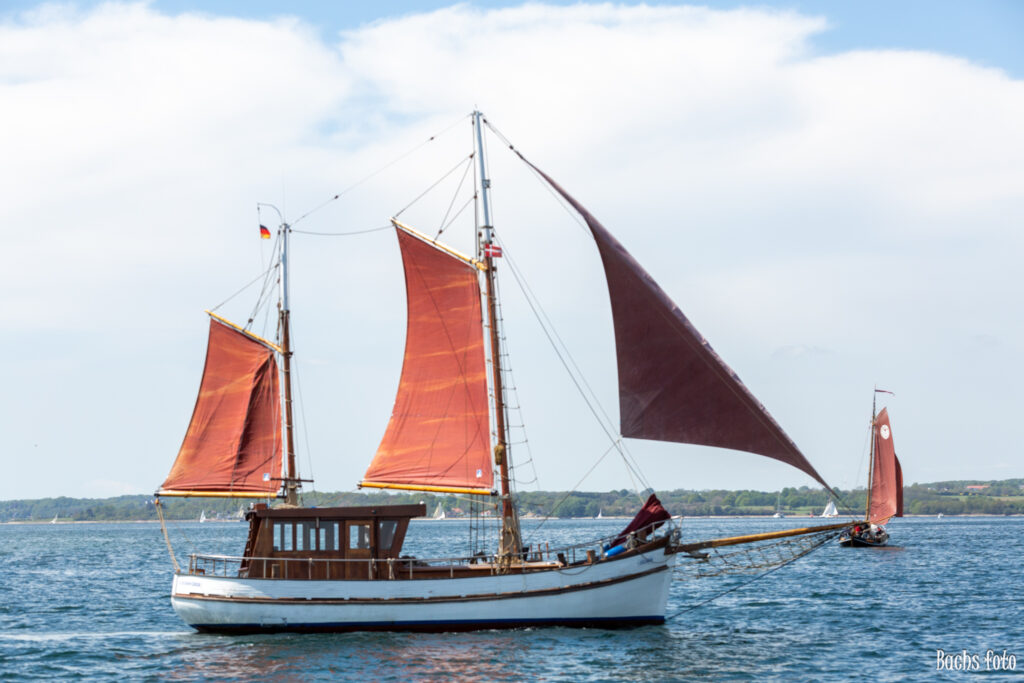 Romregatta-deltagere. Bachs FOTO