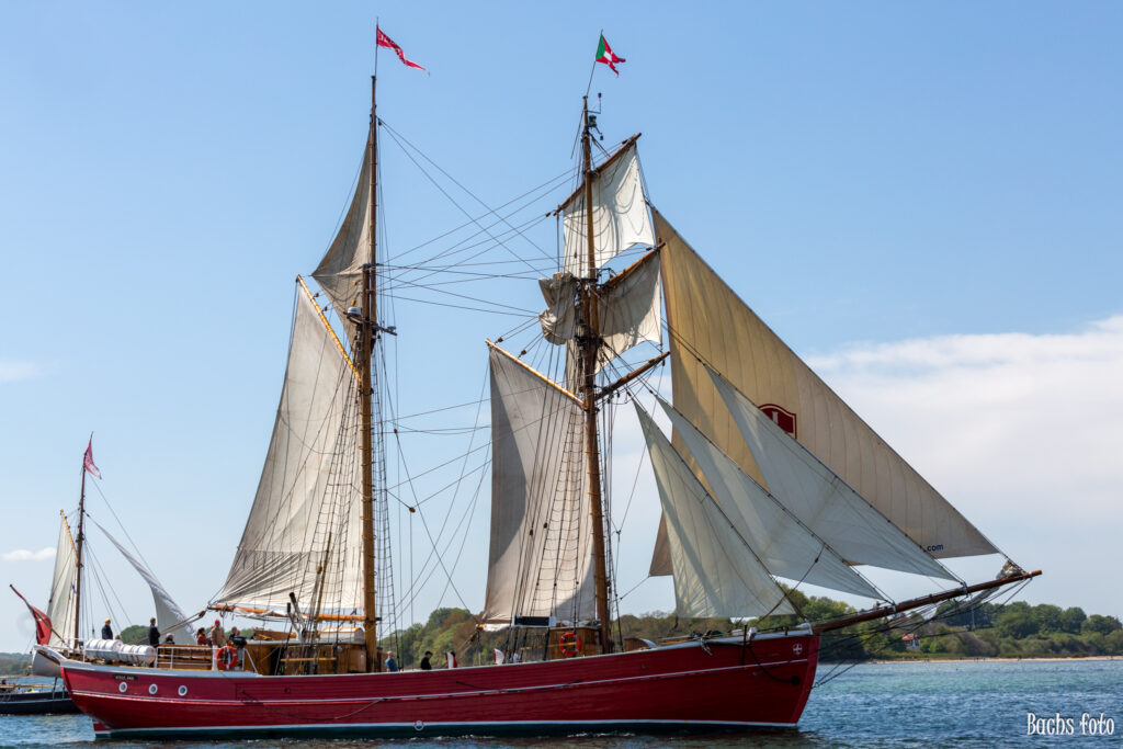 Romregatta-deltagere. Bachs FOTO