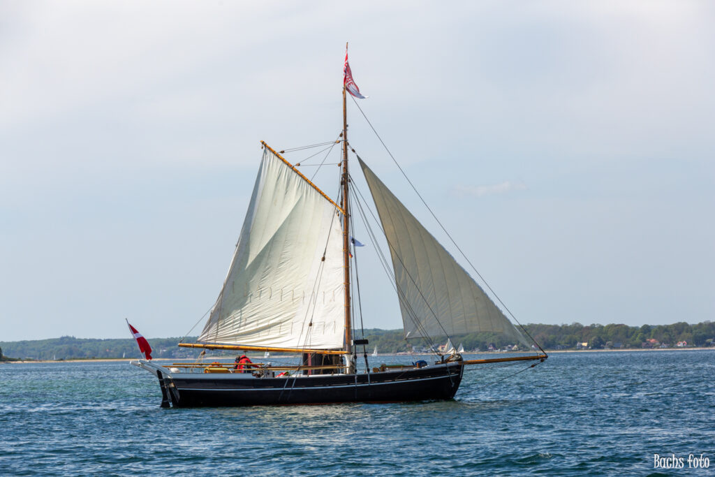 Romregatta-deltagere. Bachs FOTO
