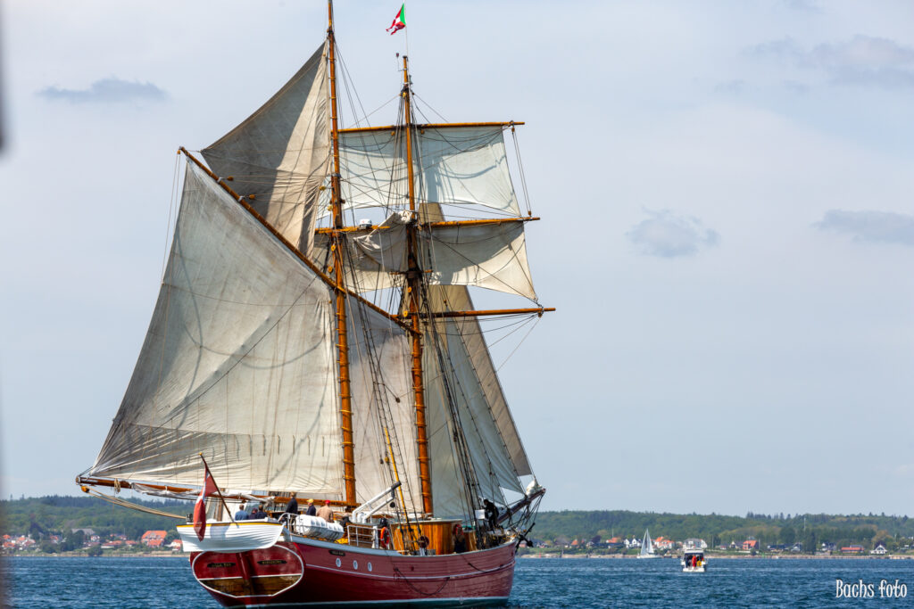 Romregatta-deltagere. Bachs FOTO