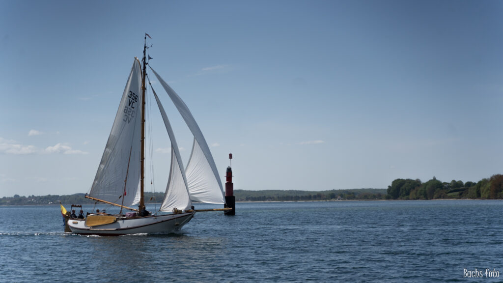 Romregatta-deltagere. Bachs FOTO
