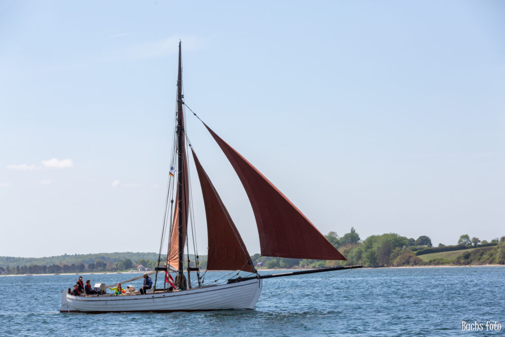 Romregatta-deltagere. Bachs FOTO