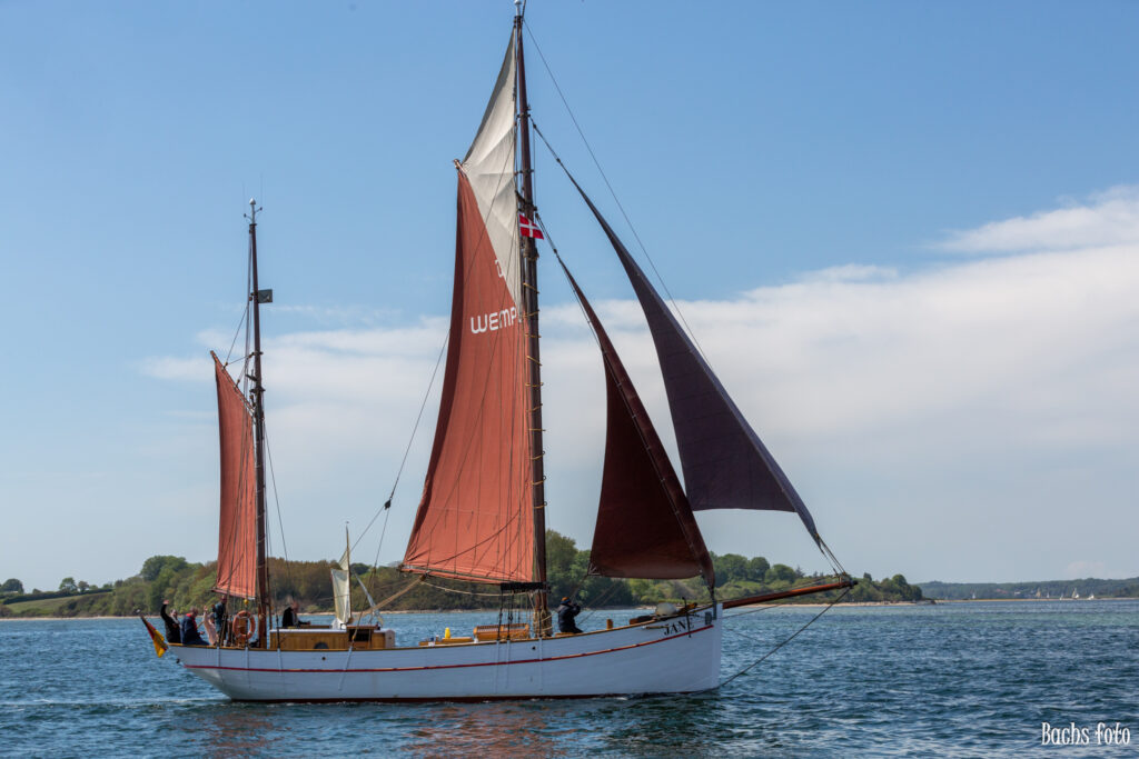 Romregatta-deltagere. Bachs FOTO