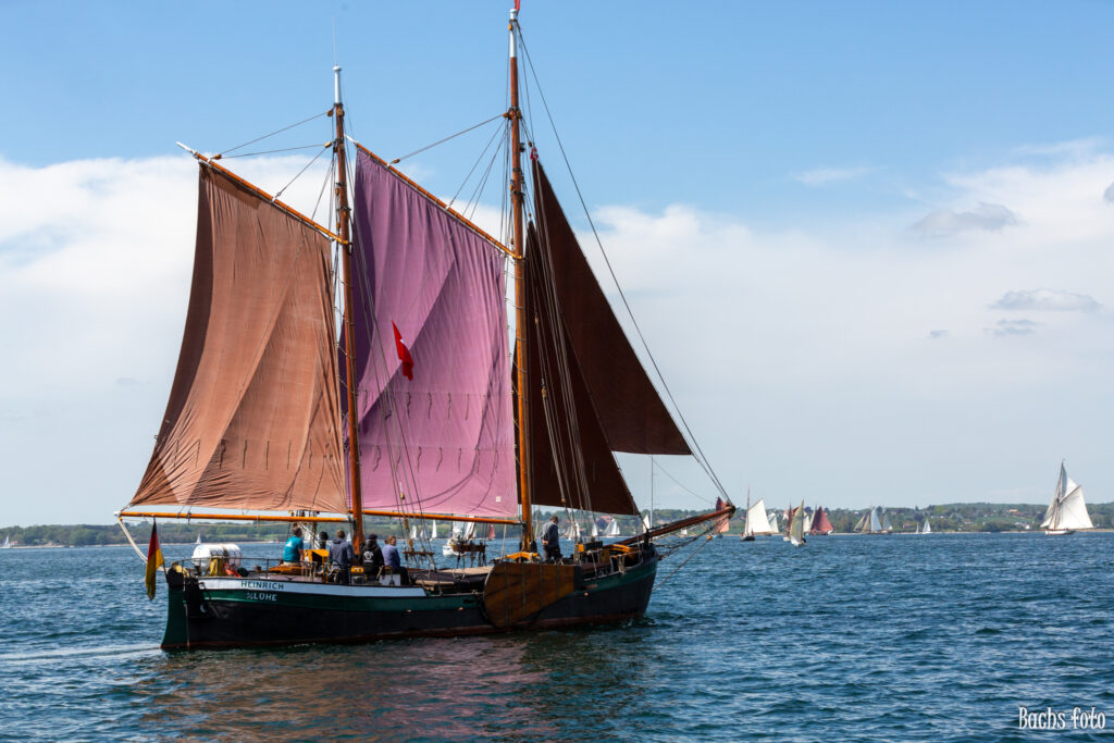 Romregatta-deltagere. Bachs FOTO