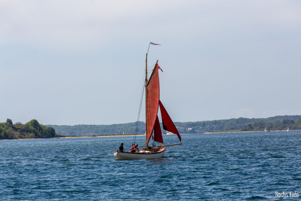 Romregatta-deltagere. Bachs FOTO