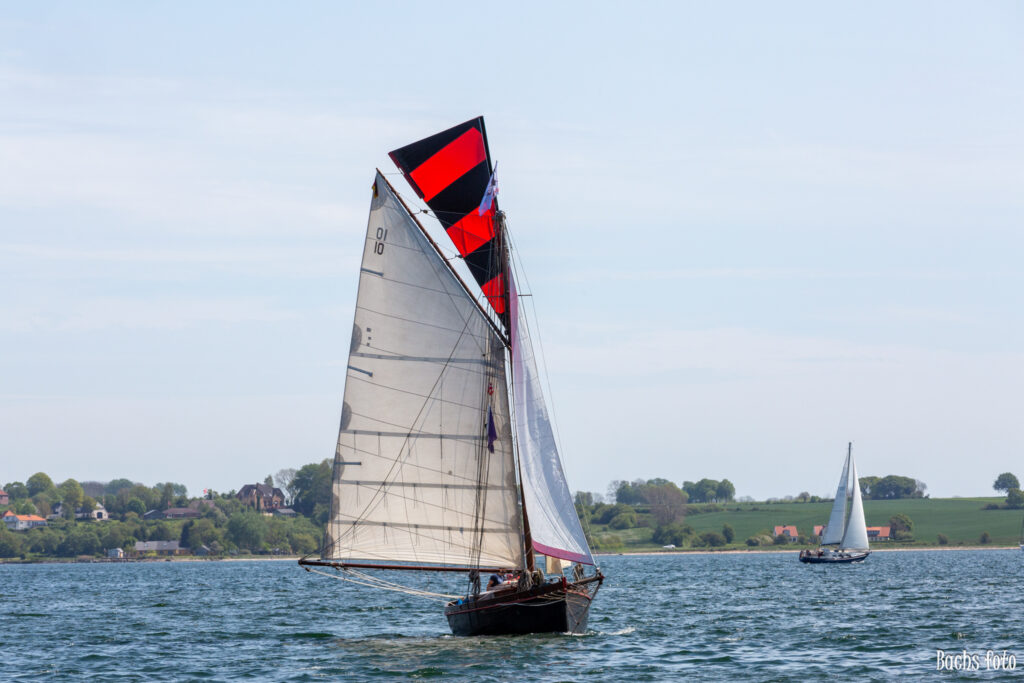 Romregatta-deltagere. Bachs FOTO