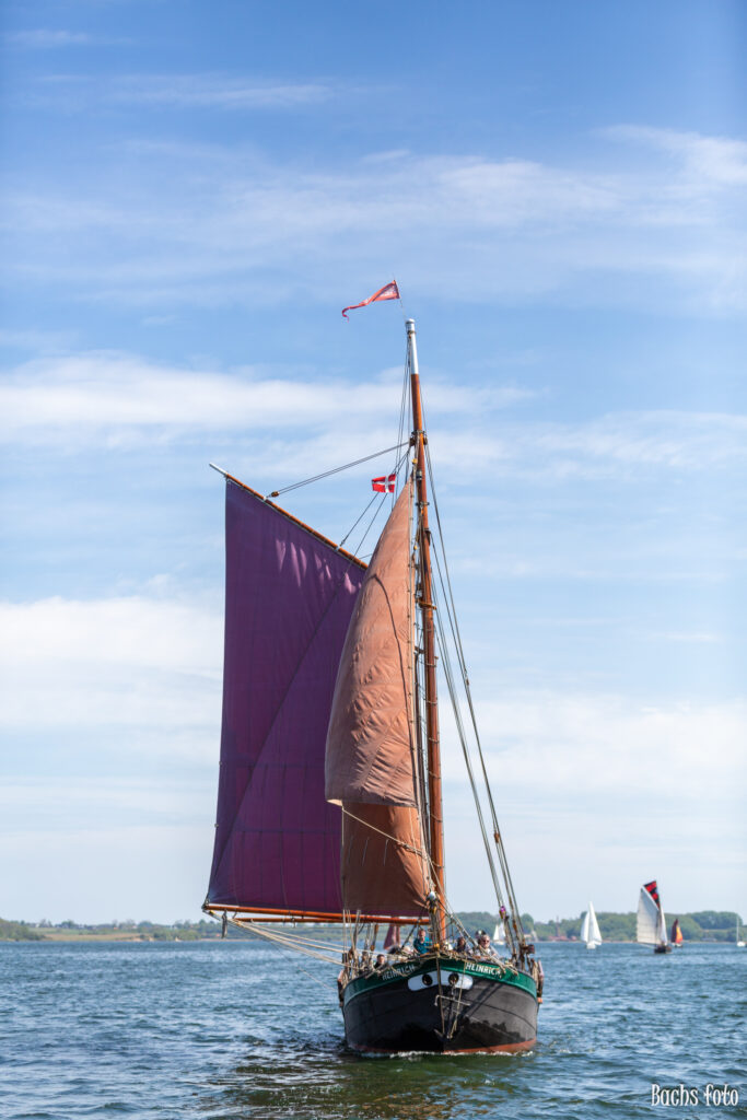 Romregatta-deltagere. Bachs FOTO