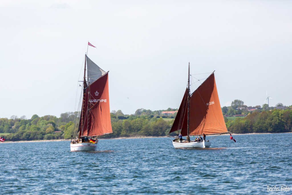 Romregatta-deltagere. Bachs FOTO