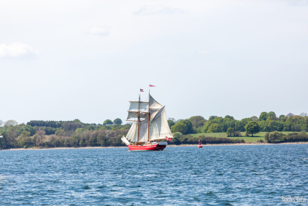 Romregatta-deltagere. Bachs FOTO