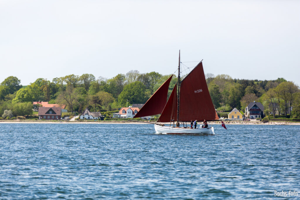 Romregatta-deltagere. Bachs FOTO