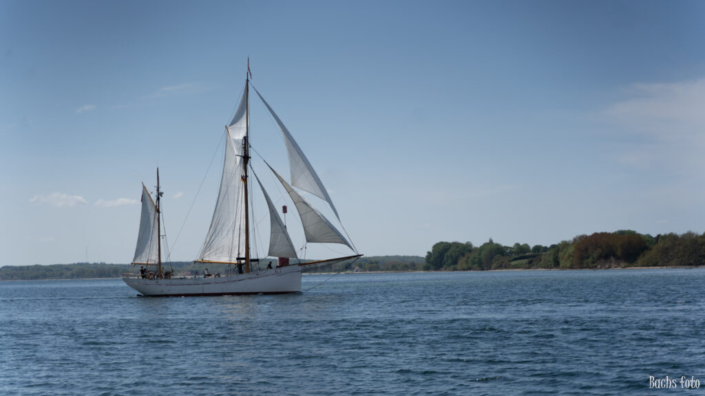 Romregatta-deltagere. Bachs FOTO