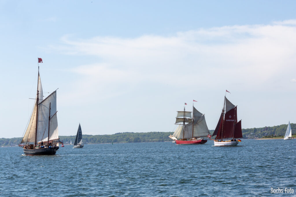 Romregatta-deltagere. Bachs FOTO