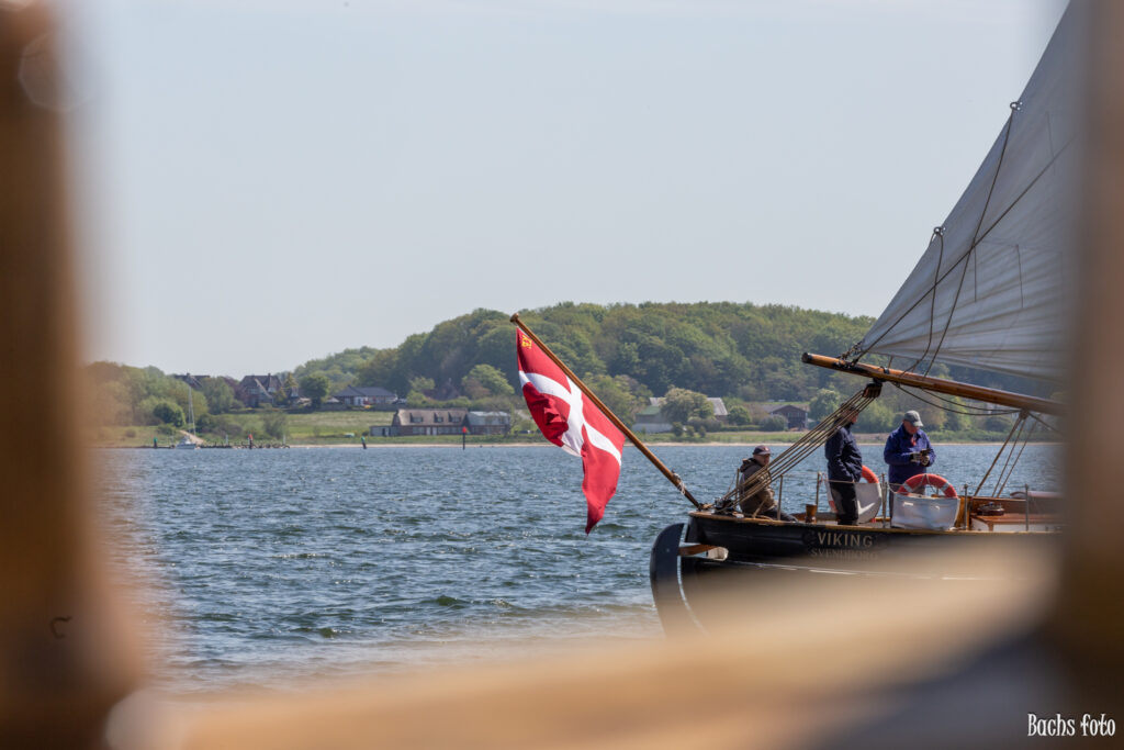 Romregatta-deltagere. Bachs FOTO