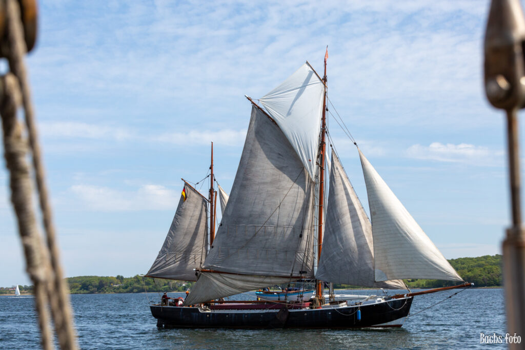 Romregatta-deltagere. Bachs FOTO