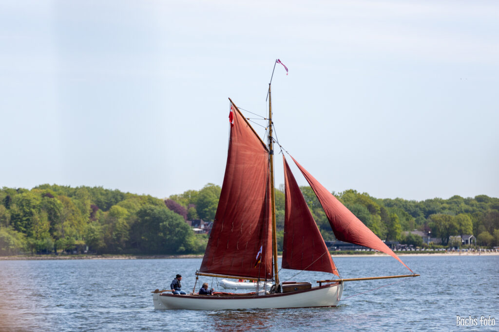 Romregatta-deltagere. Bachs FOTO