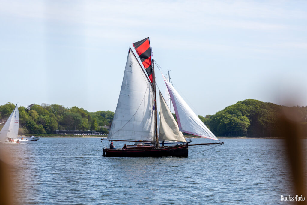 Romregatta-deltagere. Bachs FOTO