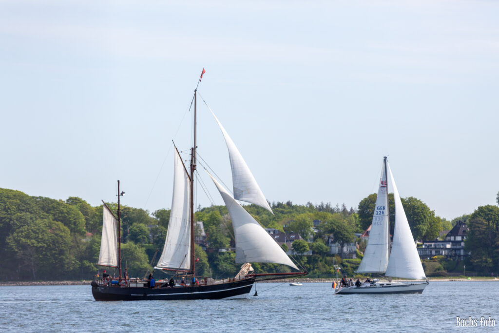 Romregatta-deltagere. Bachs FOTO