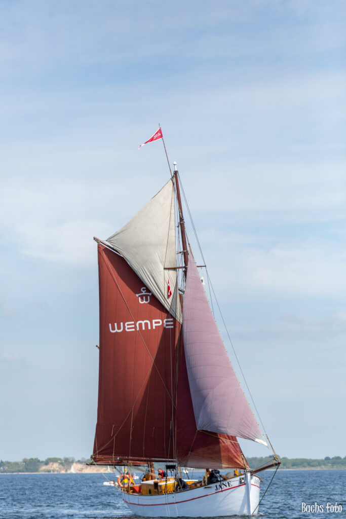 Romregatta-deltagere. Bachs FOTO