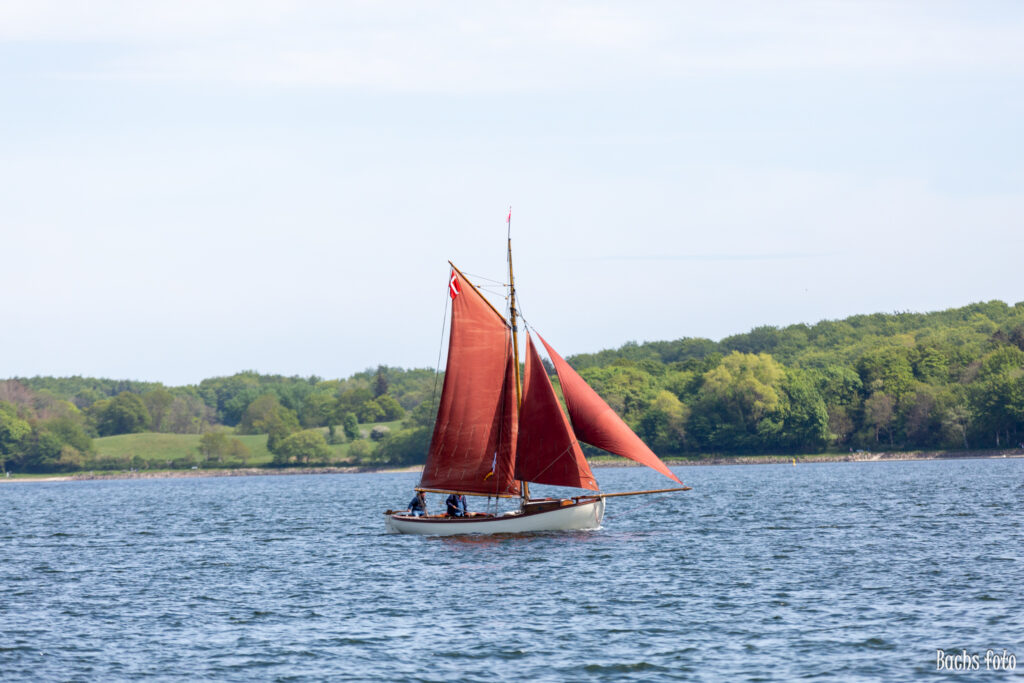 Romregatta-deltagere. Bachs FOTO