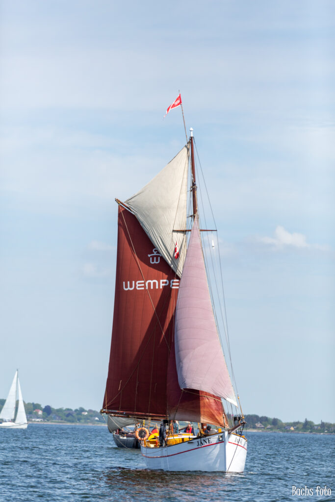 Romregatta-deltagere. Bachs FOTO